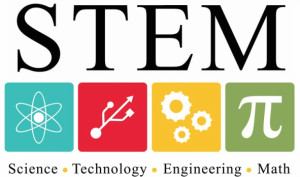 stem