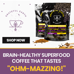 Mushroom Coffee Brain Food